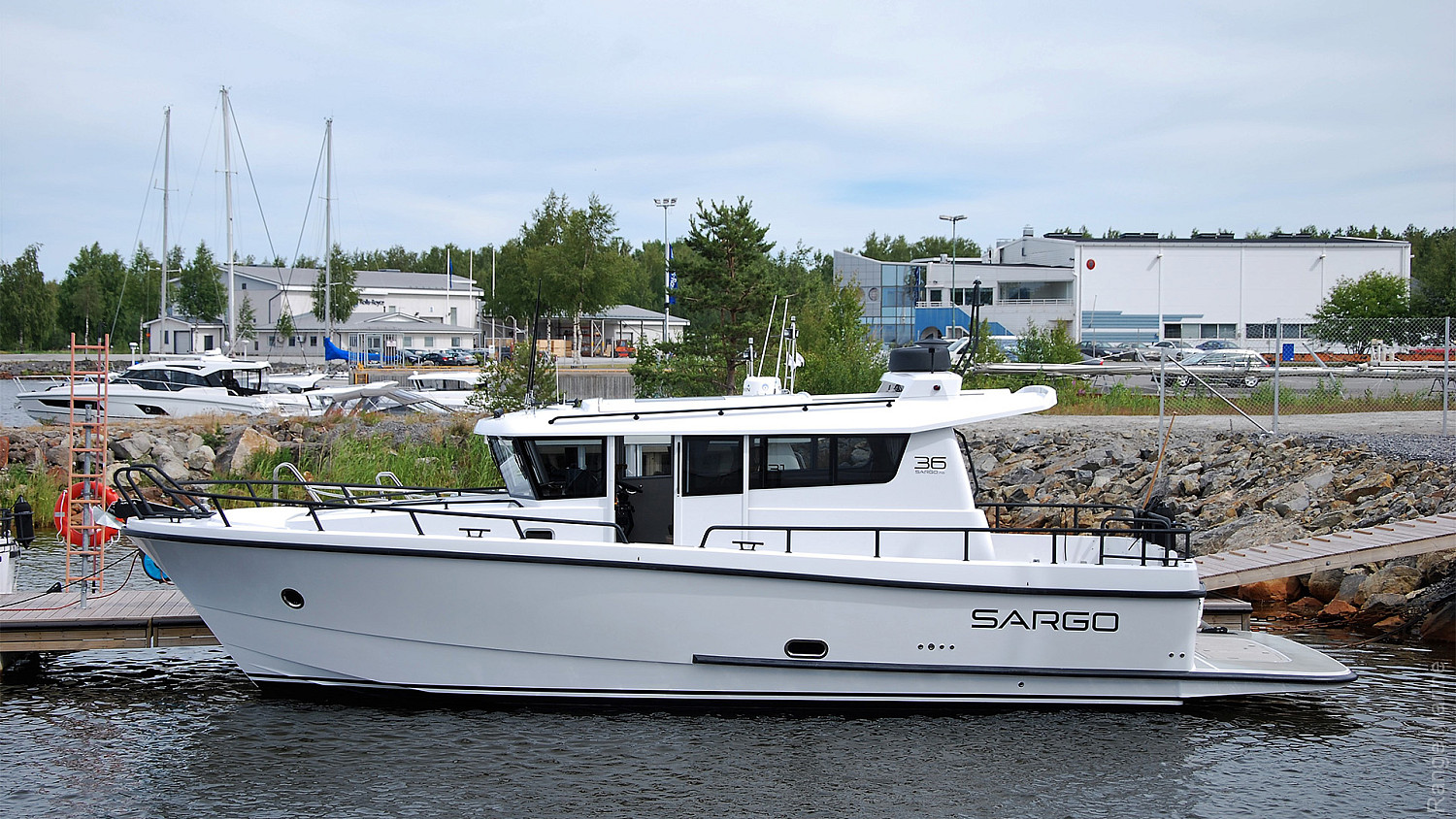 Sargo -36_5