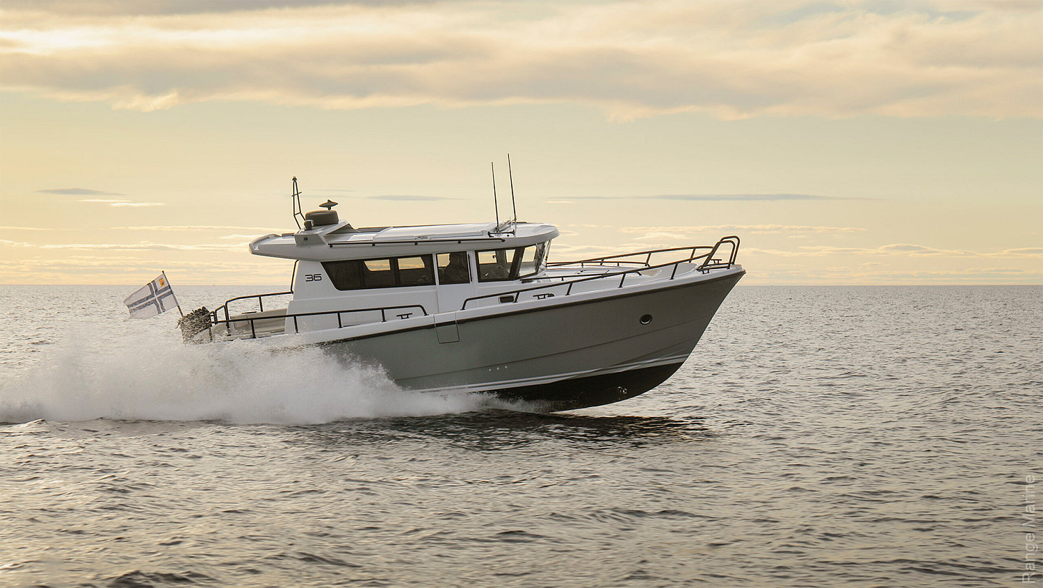 Sargo -36_6