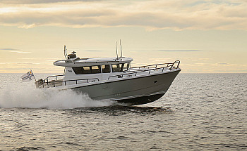 Sargo -36_6