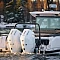 Axopar 38 XC Cross Cabin  - вид моторов на корме катера