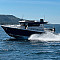 sargo-36-2019_53
